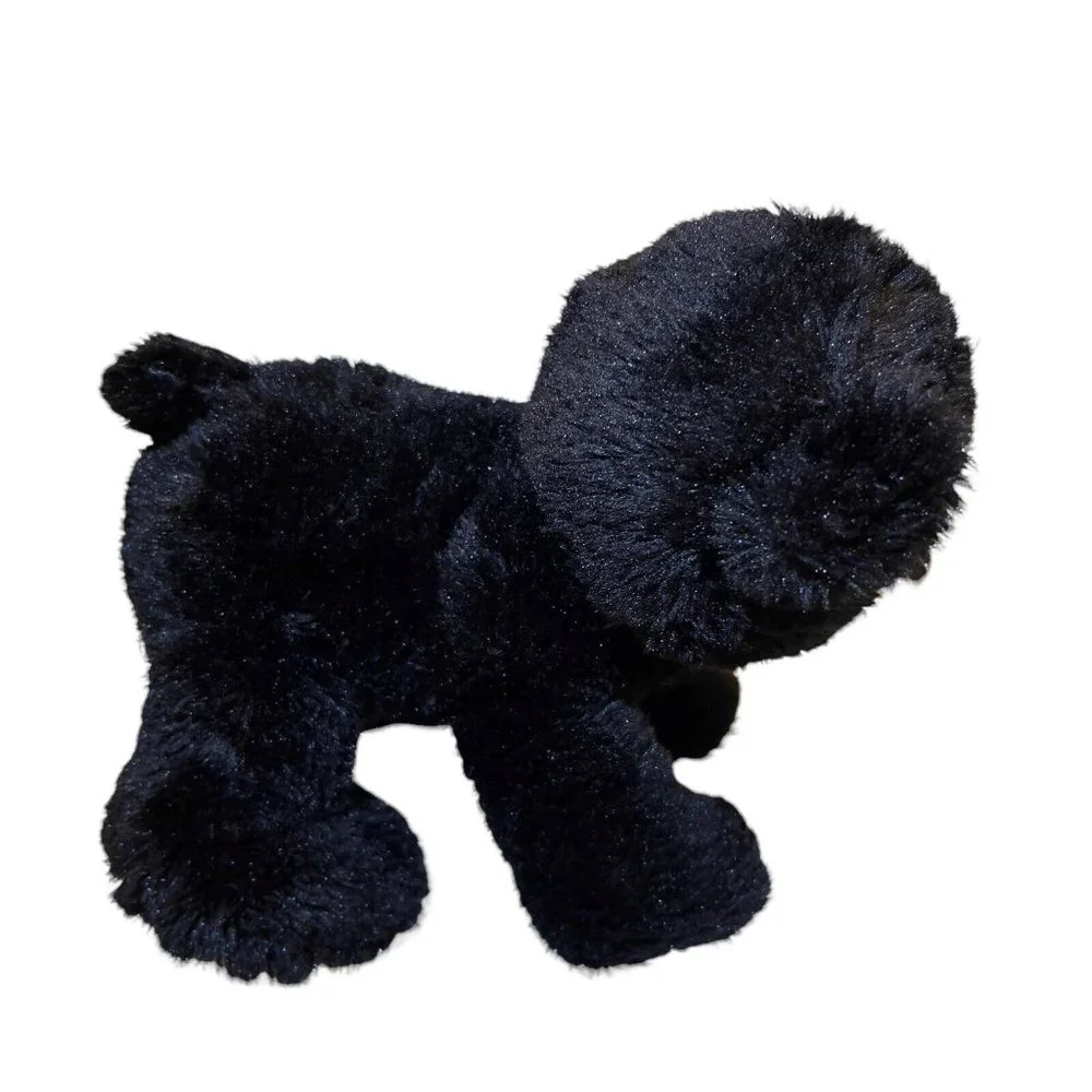 Aurora 2017 black
